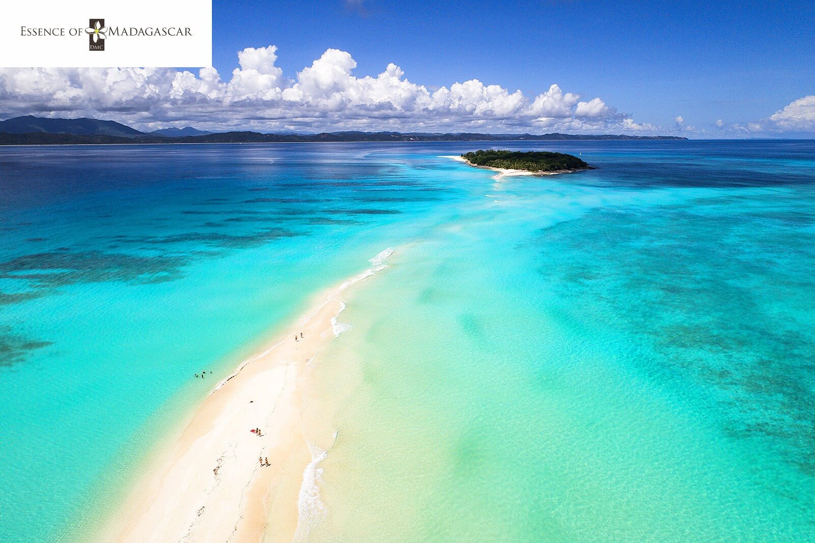 Winner small image - ESSENCE OF MADAGASCAR